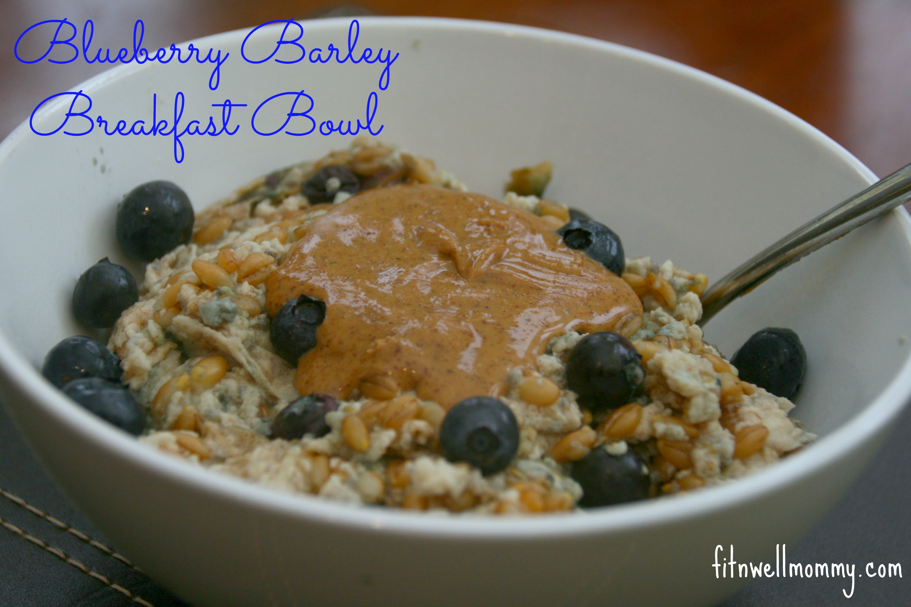 Blueberry Barley Breakfast Bowl - Deliciously Fit